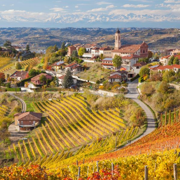 Read more about the article Italy presents an opportunity for SA Small Businesses